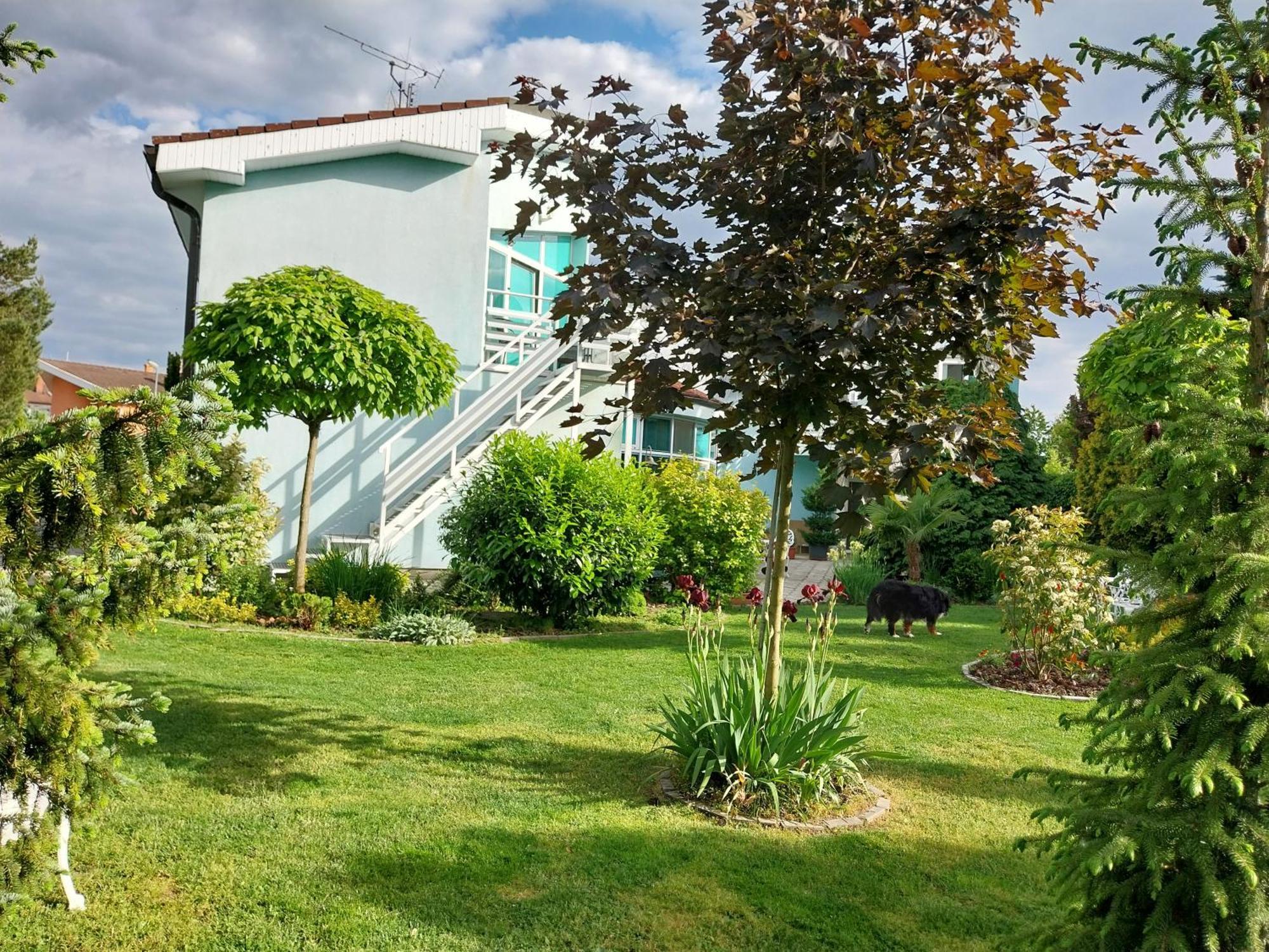 Cozy Rooms In Wine Town - Modra Exteriér fotografie